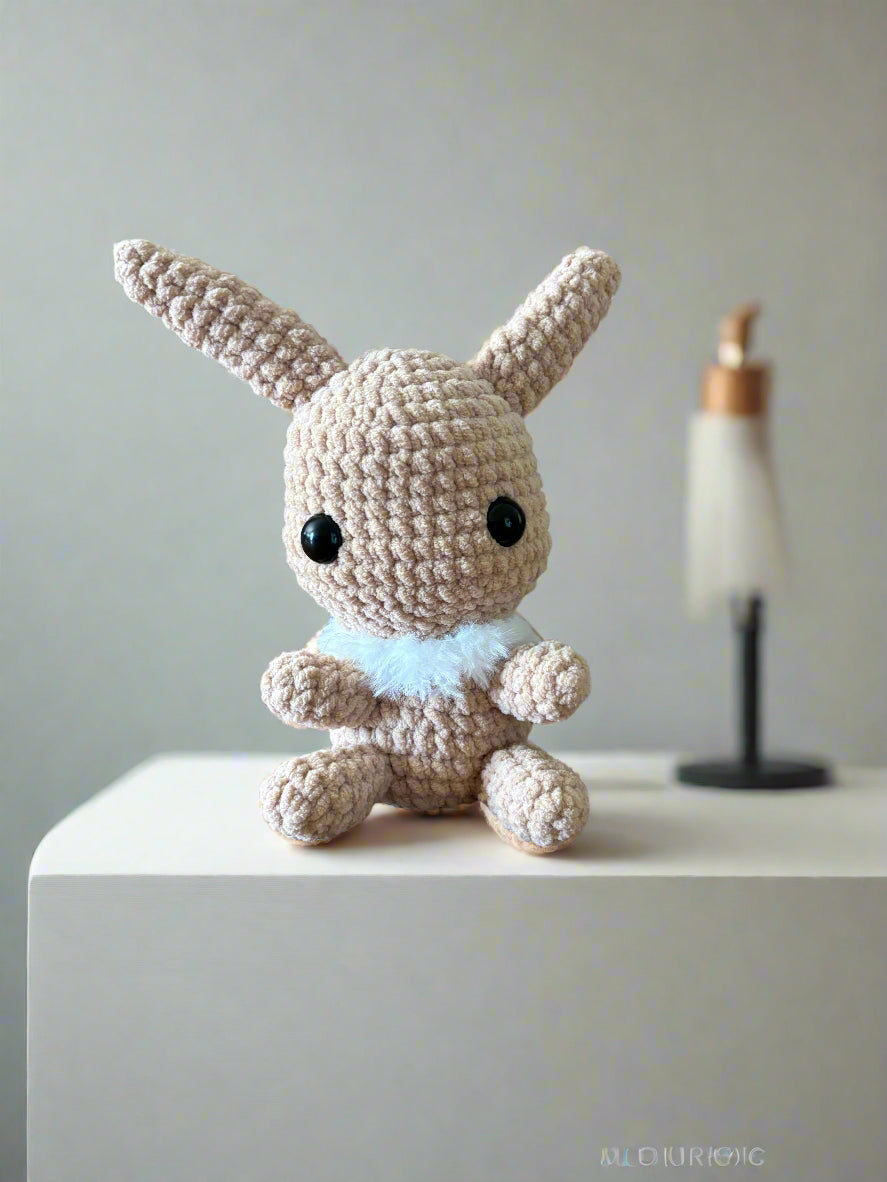Crochet Pokémon