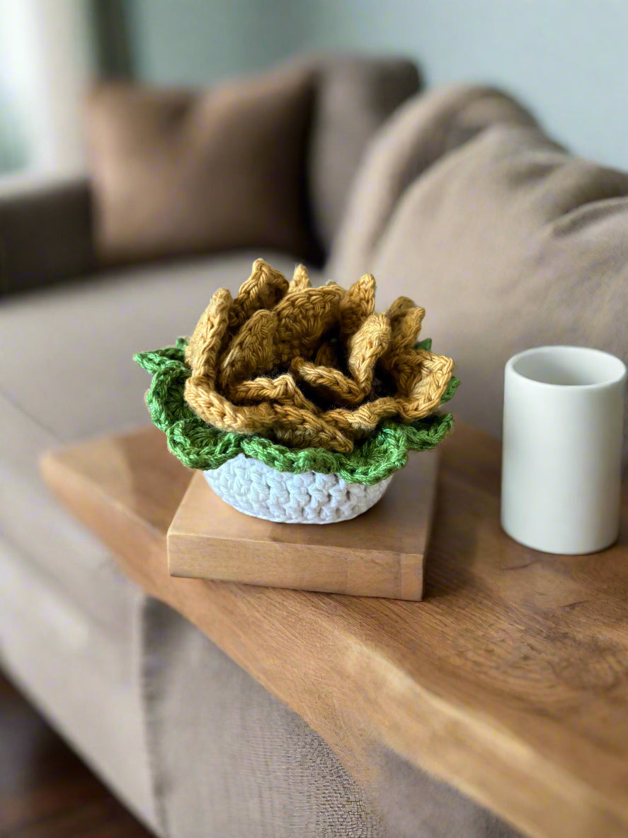 Crochet Coaster Set