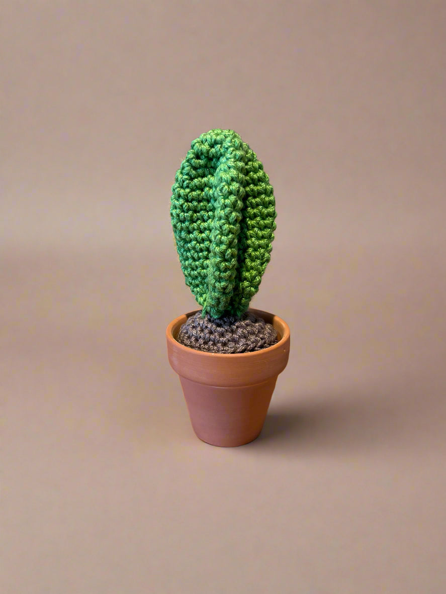 Crochet Cactus