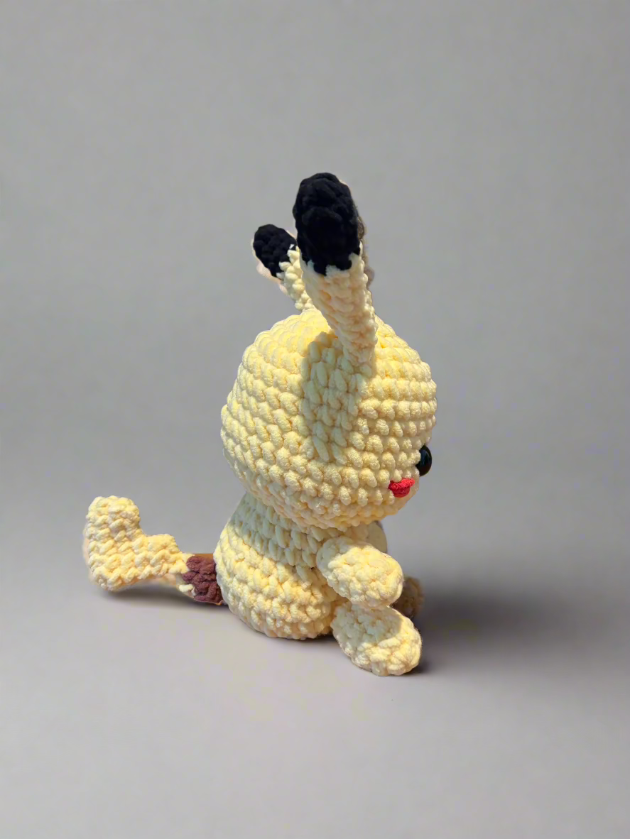 Crochet Pokémon