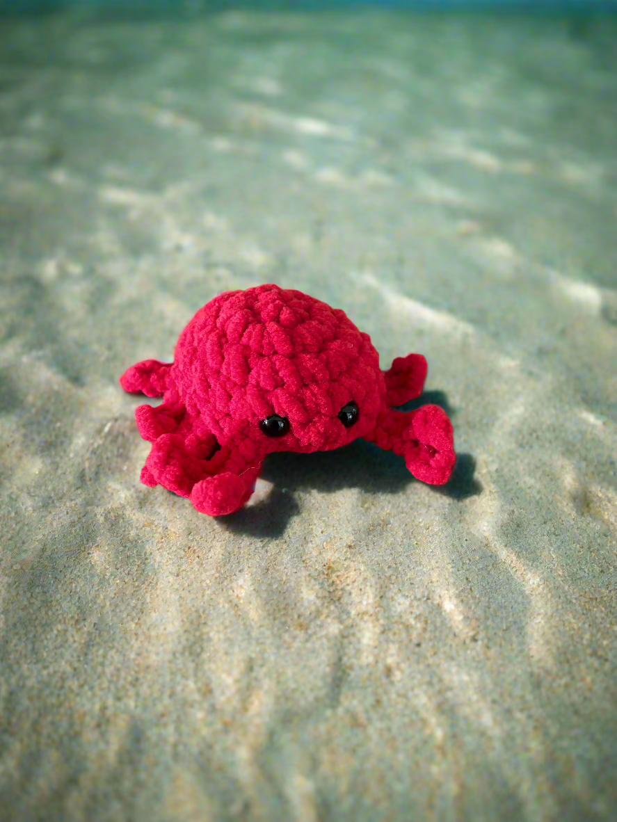 Adopt a Sea Creature