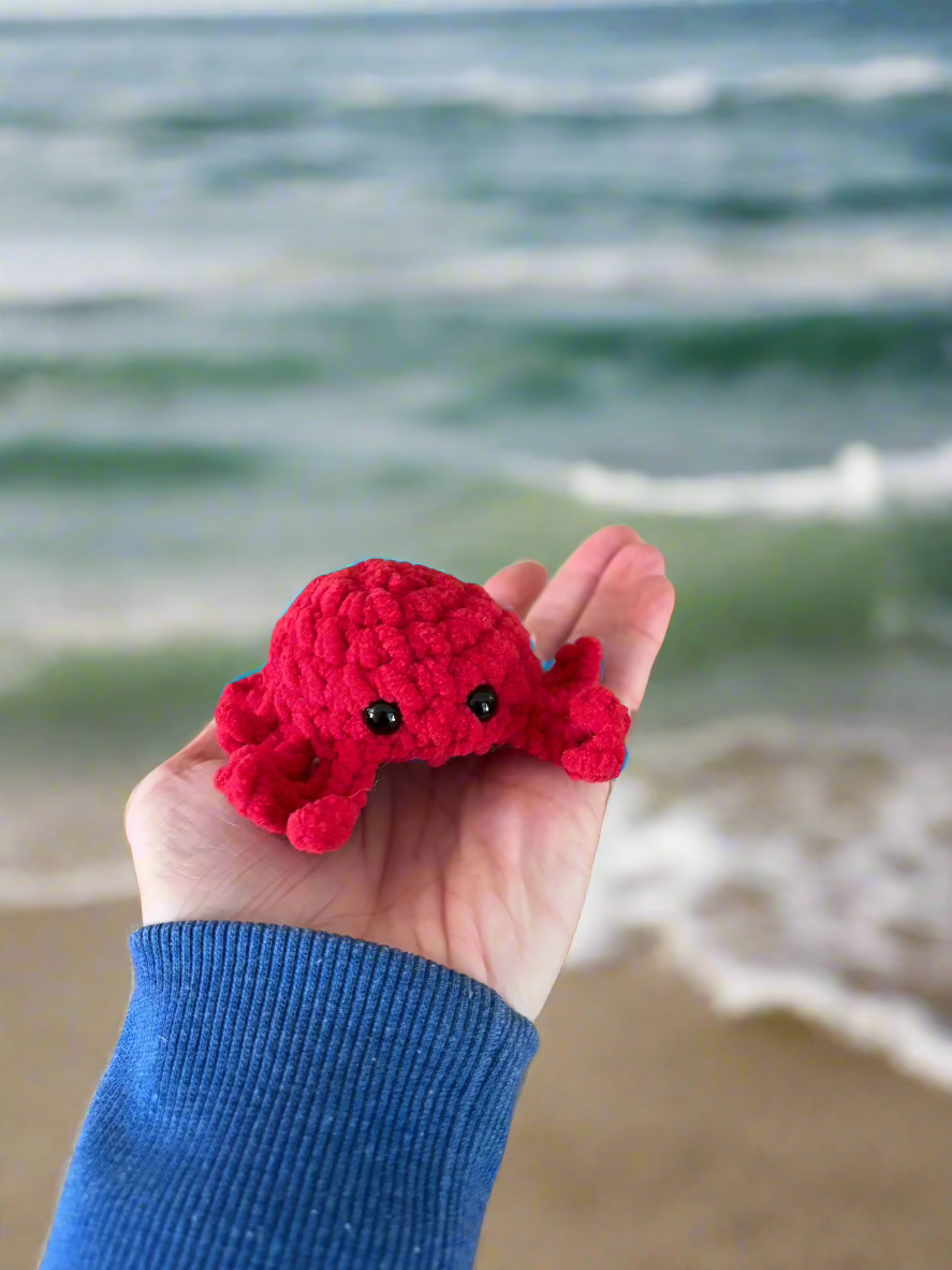 Adopt a Sea Creature