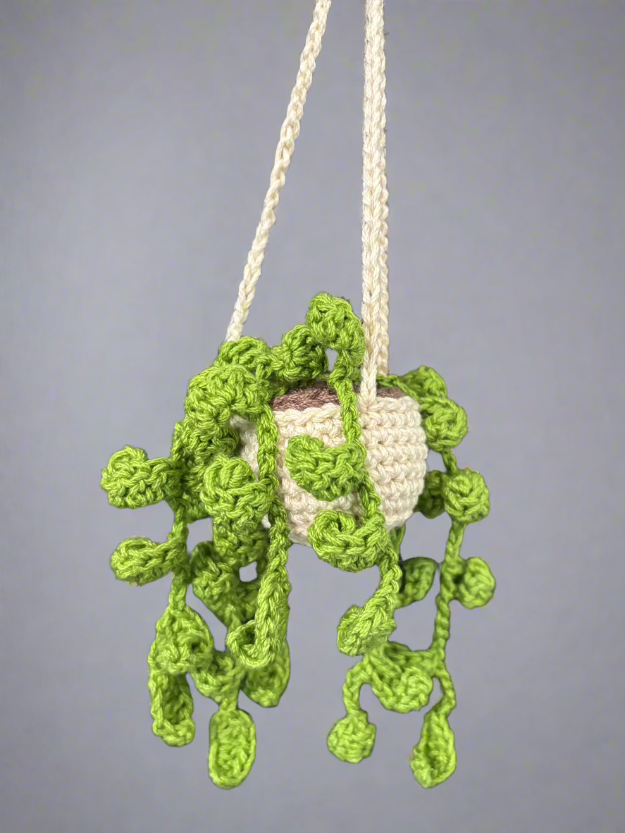Crochet Hanging Plant/Succulent