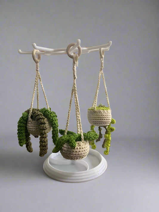 Crochet Hanging Plant/Succulent