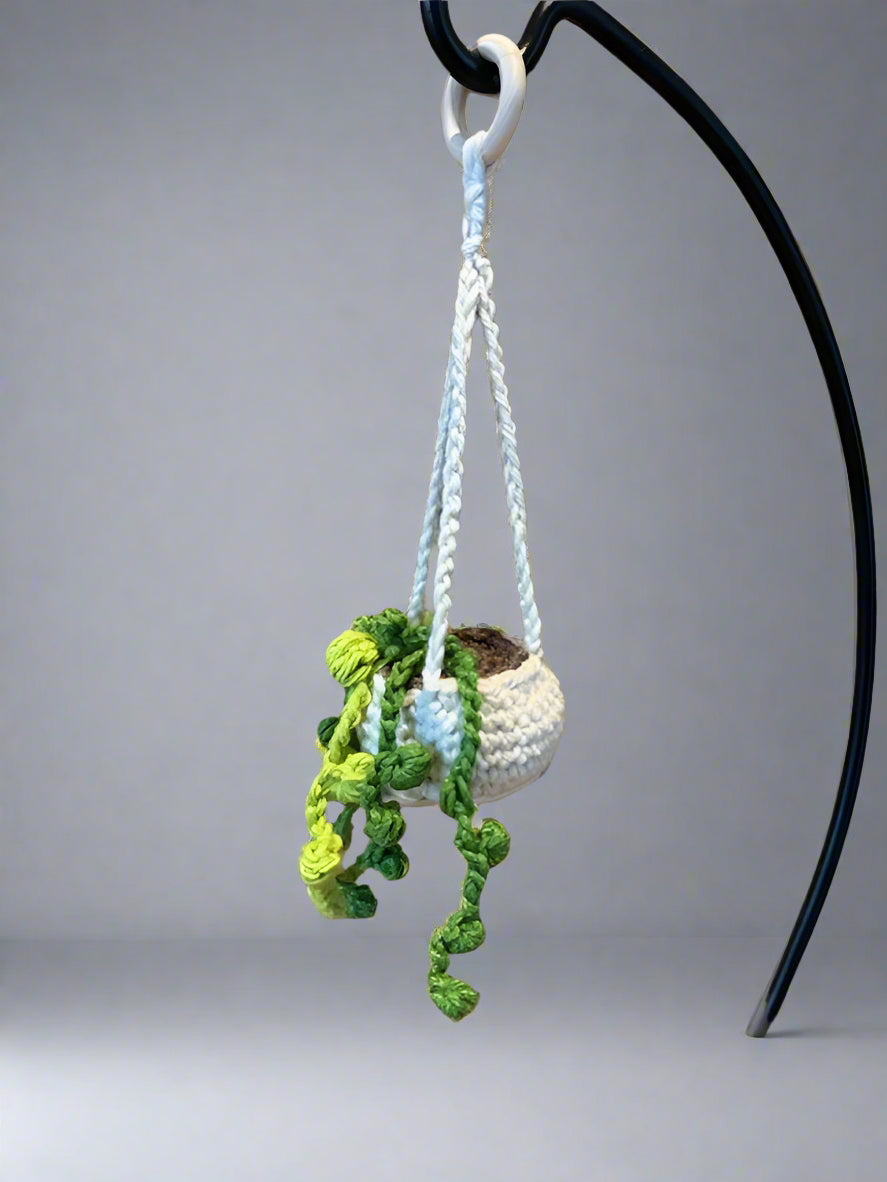 Crochet Hanging Plant/Succulent