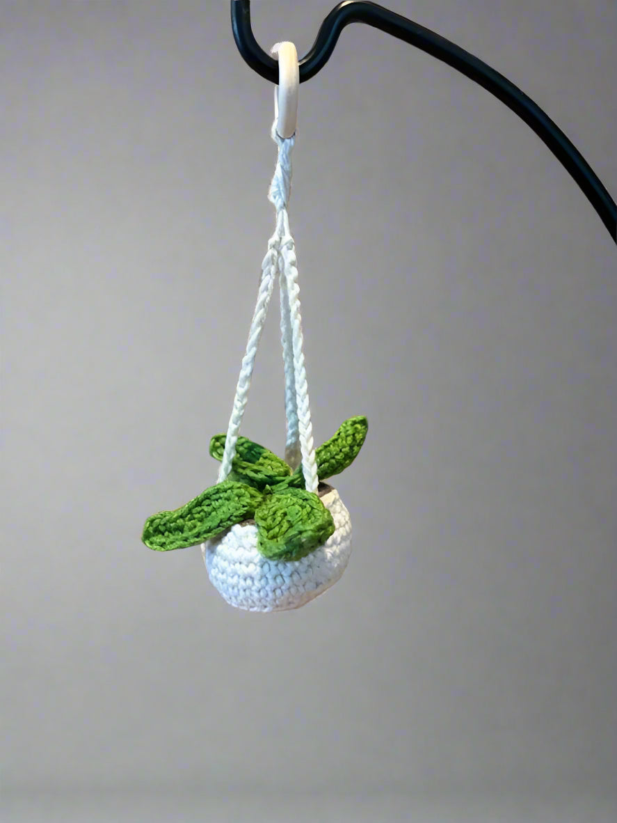 Crochet Hanging Plant/Succulent