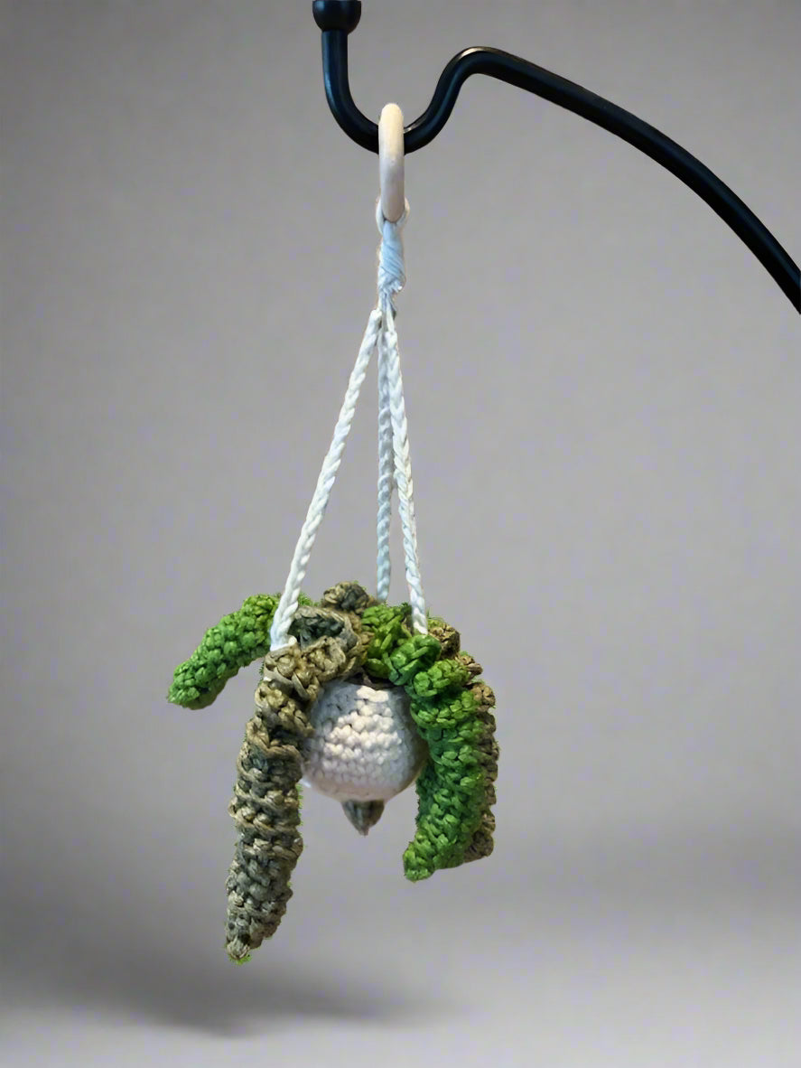 Crochet Hanging Plant/Succulent